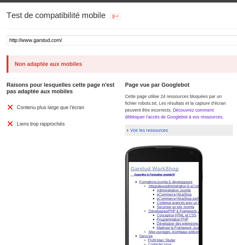 Résultat d'un test de compatibilité Mobile non adapté